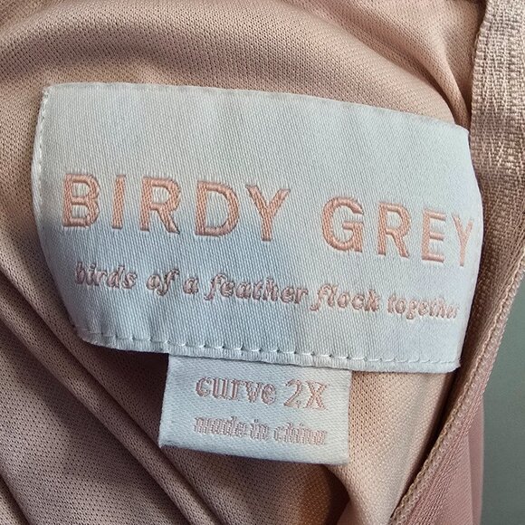 Birdy Gray Elsye Dress Mesh Dusty Rose - Picture 11 of 12